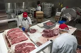 Golpe a la carne: Clausura de planta deja 140 desempleados.