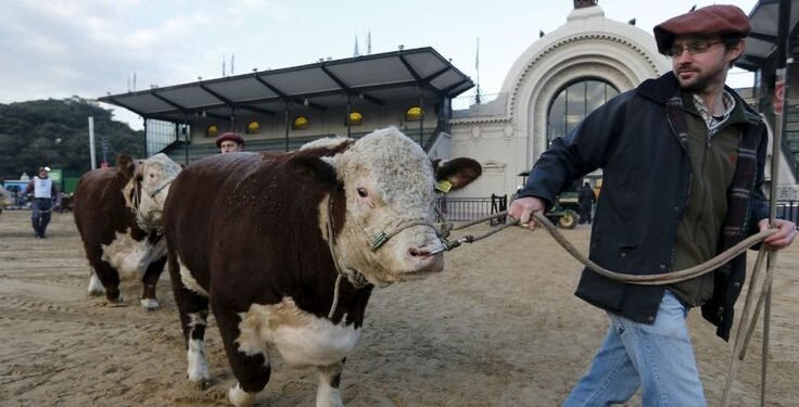 Una carta de cabañeros genera controversia en la Sociedad Rural