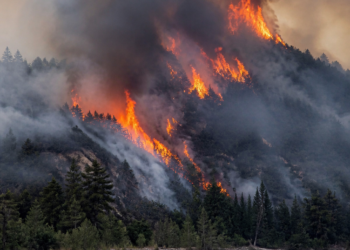 Incendios en la Patagonia: el verano marcó un hito de devastación en seis décadas