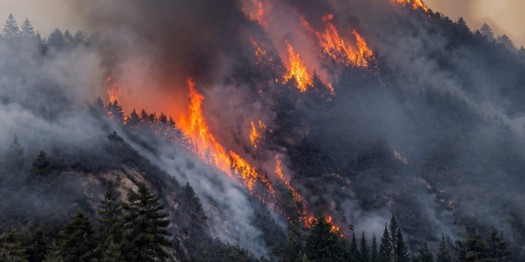 Incendios en la Patagonia: el verano marcó un hito de devastación en seis décadas