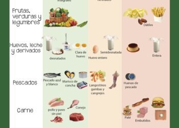 Colesterol: Seis Alimentos Clave para Su Prevención y Cantidades Recomendadas