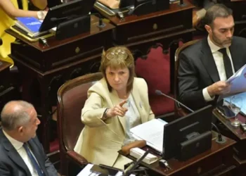 Tensión en el oficialismo: Un senador libertario cuestionó la decisión de Bullrich en la votación