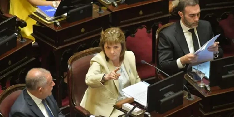 Tensión en el oficialismo: Un senador libertario cuestionó la decisión de Bullrich en la votación