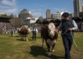 Fechas y precios de la Exposición Rural de Palermo 2026