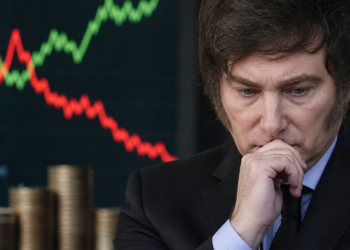 Análisis de Precios Relativos en la Gestión de Milei: Aumentos y Disminuciones