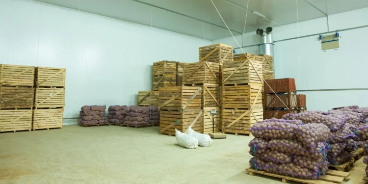 Guía sobre el almacenamiento de papas: los mejores lugares para su conservación