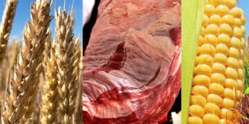 El Gobierno impulsa créditos accesibles para el sector agropecuario con el fin de moderar precios de alimentos