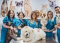 Frases para Celebrar el Día del Veterinario