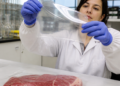Adiós al plástico en las carnicerías: científicos argentinos desarrollan un film biodegradable que promete transformar la compra de carne