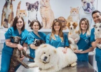 Frases para Celebrar el Día del Veterinario
