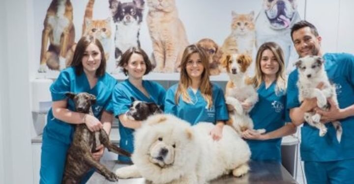 Frases para Celebrar el Día del Veterinario