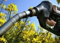 La industria aceitera exige una nueva legislación sobre biocombustibles y alerta sobre el rezago frente a Brasil
