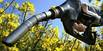 La industria aceitera exige una nueva legislación sobre biocombustibles y alerta sobre el rezago frente a Brasil
