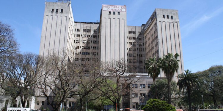 Envejecimiento, enfermedades cardíacas y desinformación: retos de la medicina en Argentina