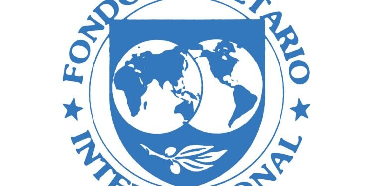 El FMI evalúa la morosidad de créditos en hogares, sin considerarlo un riesgo significativo: próximas misiones