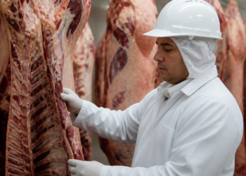 Crecimiento exponencial: la carne certificada argentina podría superar las 20.000 toneladas en exportaciones
