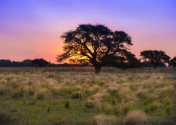 Se aproxima un cambio climático significativo: aire frío y lluvias intensas en Argentina