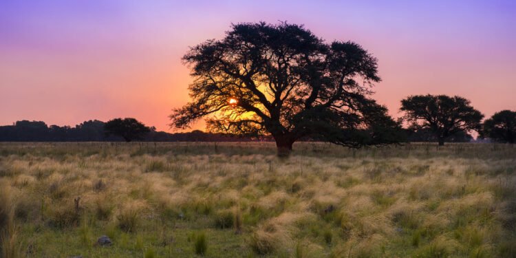 Se aproxima un cambio climático significativo: aire frío y lluvias intensas en Argentina