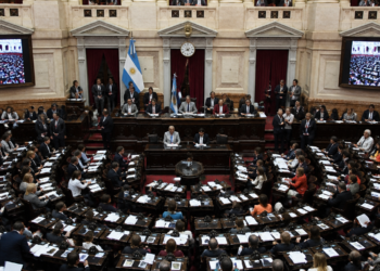 Sesión de Diputados: novedades sobre la derogación del DNU 70/2023 y la emergencia en discapacidad
