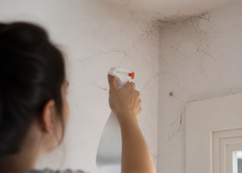 Elimina las telarañas de tu hogar: receta casera para alejar a las arañas
